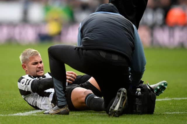 dự đoán Crystal Palace vs Newcastle